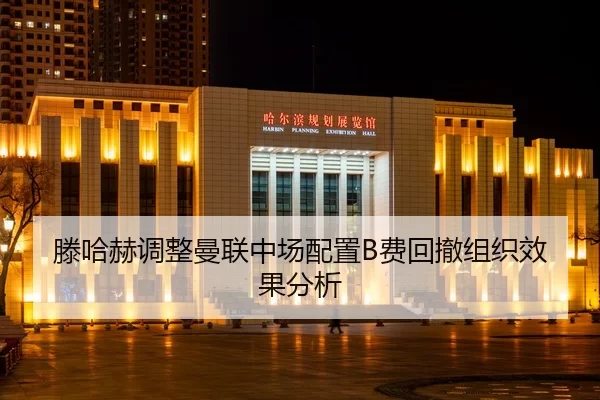 teng-ha-he-tiao-zheng-man-lian-zhong-chang-pei-zhi-fei-hui-che-zu-zhi-xiao-guo-fen-xi-2-455.jpg